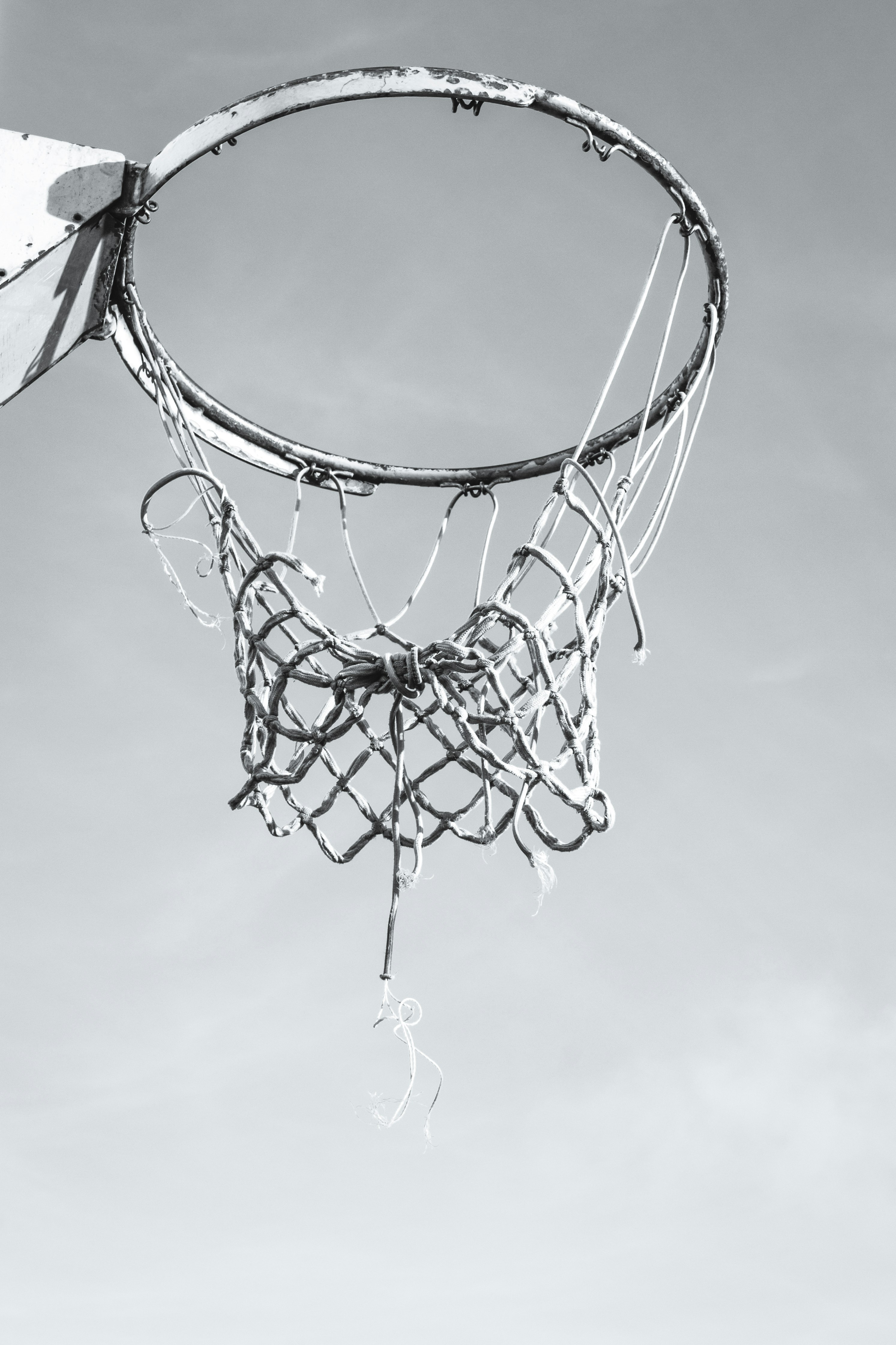 basketball ring